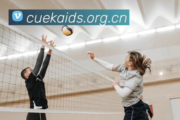 半岛官网网页版入口平台生态图